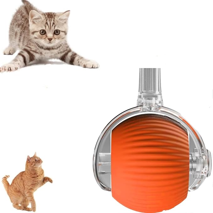 Rocfish Durable Interactive Cat Toys by Unknown