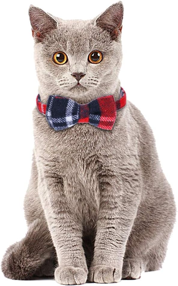 Faleela Breakaway Cat Collar - Image 5