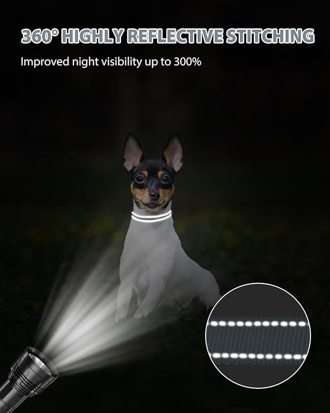 Joytale Small Dog Collar, Reflective and Adjustable Nylon Collar - Image 5
