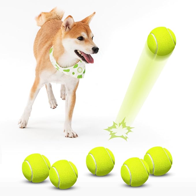HETOO Tennis Balls for Dogs: 6 Pack 2.5 Inch Dog Balls- Dog Tennis Ball- by HETOO