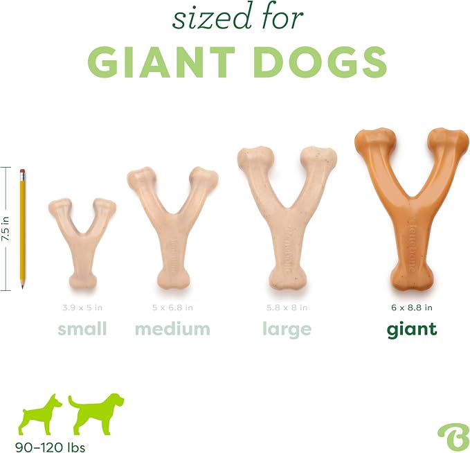Benebone Wishbone Durable Dog Chew Toy - Image 4