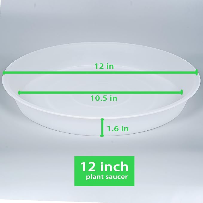 2 Pack of 12 inch Plant Saucer, 1.7" Depth Tray, Large Deep Garden Plastic - Image 2