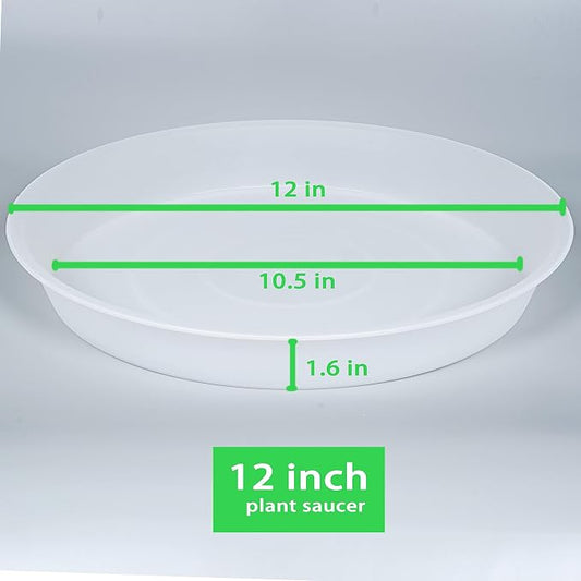 2 Pack of 12 inch Plant Saucer, 1.7" Depth Tray, Large Deep Garden Plastic - Image 2