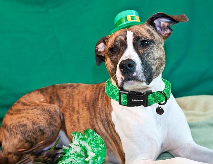 DOGWONG St. Patrick's Day Dog Collar - Image 4