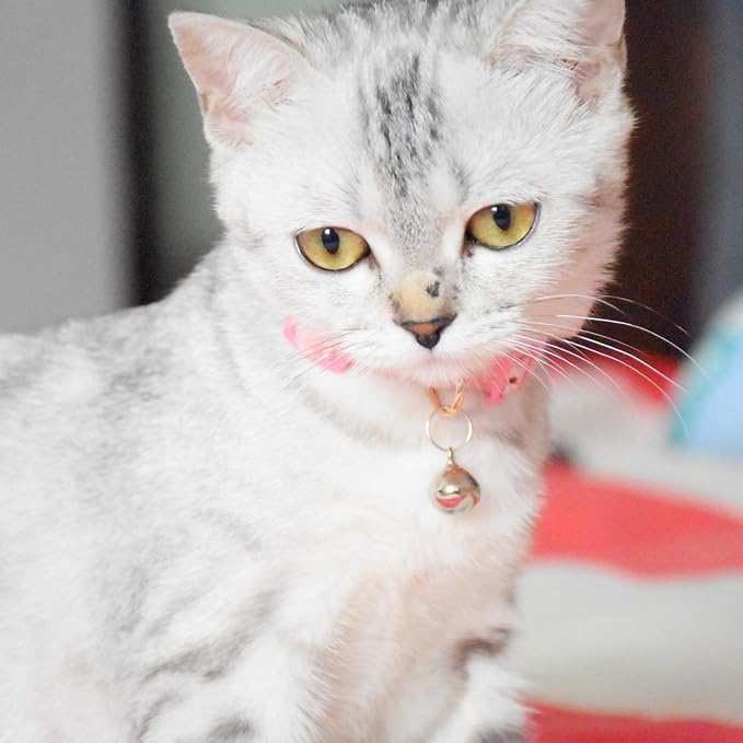 Breakaway Cat Collars with Bell, Durable & Safe Cute Kitten Collars Safety - Image 6