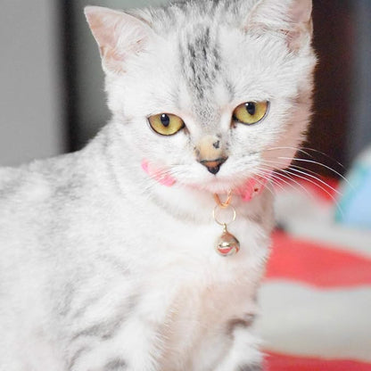Breakaway Cat Collars with Bell, Durable & Safe Cute Kitten Collars Safety - Image 6