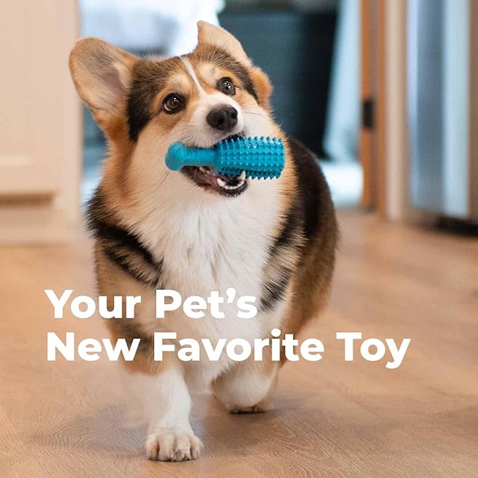 Oxyfresh Dog Dental Chew Toy - Image 3