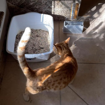UFECODO Fast Sifting Cat Litter Scoop - Image 5