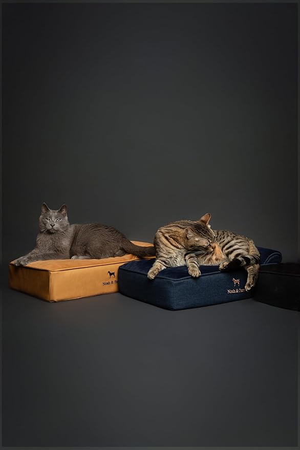NOAH & PAW Small Dog Bed, Cat Bed - Image 6