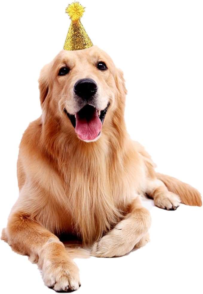 10 Pcs Dog Birthday Hat Set for Small Medium Dogs Cat Puppies, Mini Party Hat - Image 4