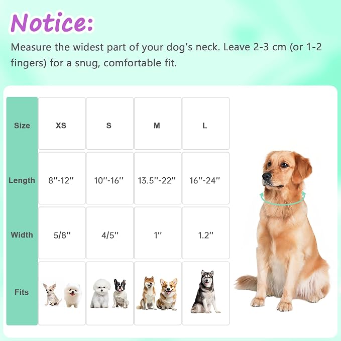 Easter Dog Collar for Small Dogs, Adjustable Green Small Dog Collar - Image 2