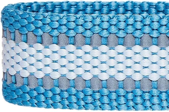 Blueberry Pet Essentials Reflective Dog Collar - Image 7
