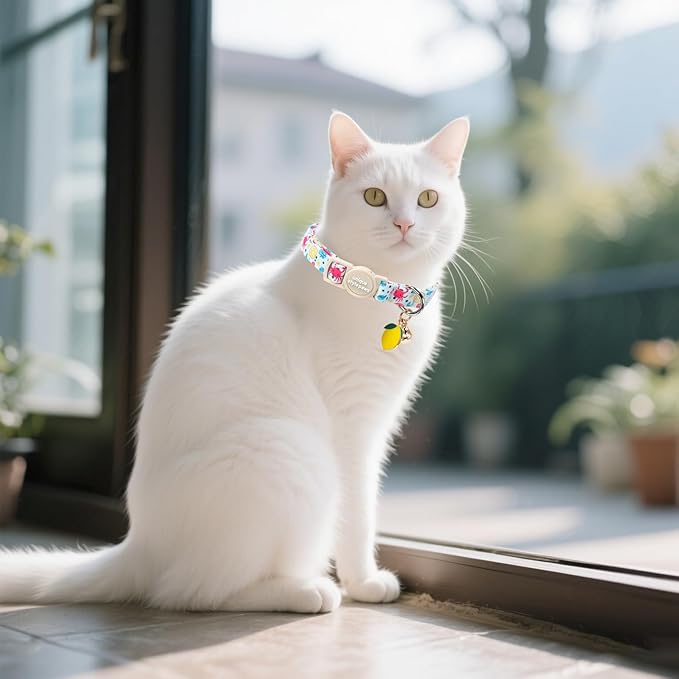 Unique style paws 2 Pack Spring Summer Kitten Collar Breakaway - Image 6