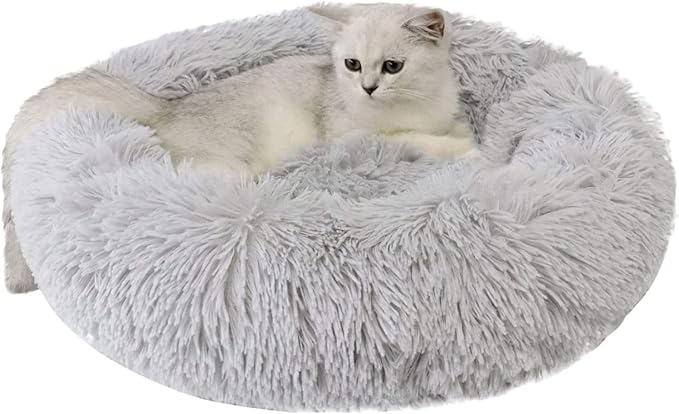 Large Cat Beds for Indoor Cats by Unknown