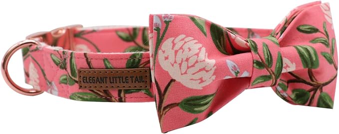 Elegant little tail Dog Collar - Image 2