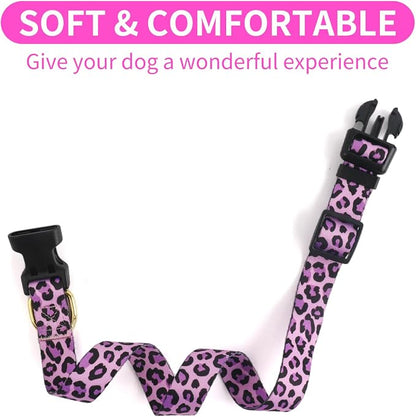 QQPETS Adjustable Soft Dog Collar: Print Flower Pink Multicolor Cute Patterns - Image 5