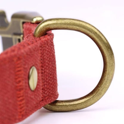 PET ARTIST Dog Collars for Small Dogs, Soft Padded Premium Nylon Dog Collar - Image 8