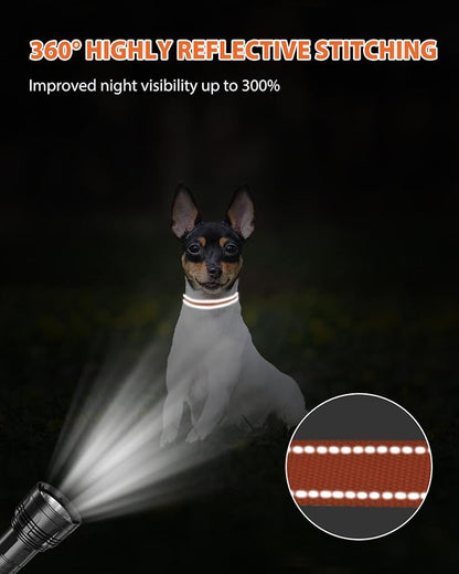 Joytale Small Dog Collar, Reflective and Adjustable Nylon Collar - Image 5