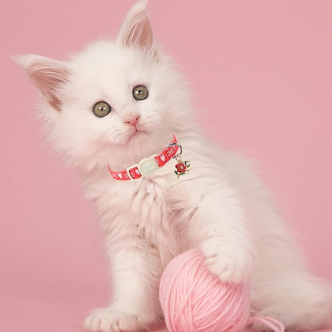 Cat Collar, 2 Pack Cat Collars Cute Breakaway Kitty Collar - Image 5