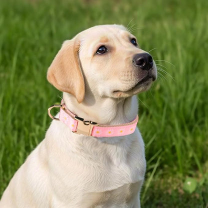 Woven Dog Collar with Metal Buckle Adjustable Jacquard Retro Dog Collars - Image 4