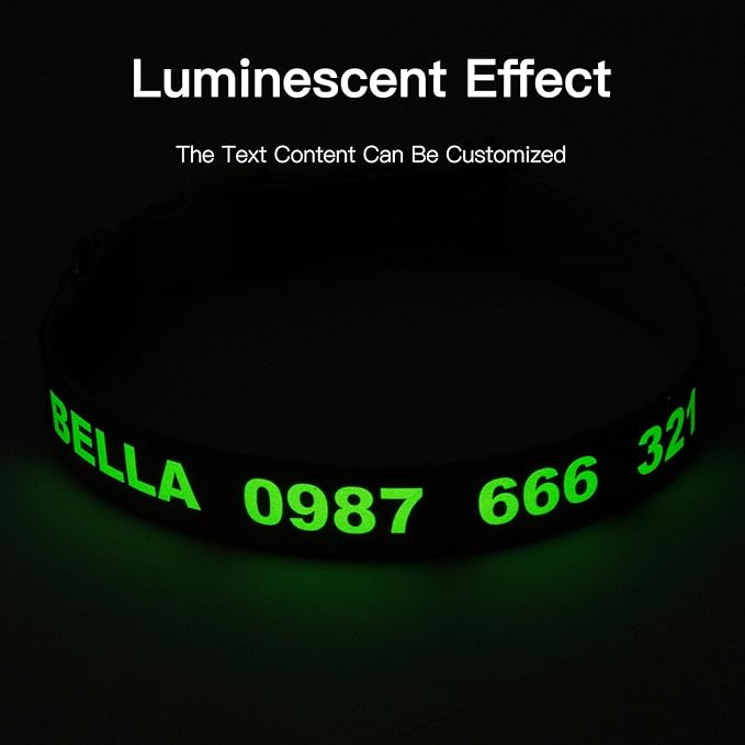 DOG WORLD Custom Fluorescent Dog Collar - Image 3