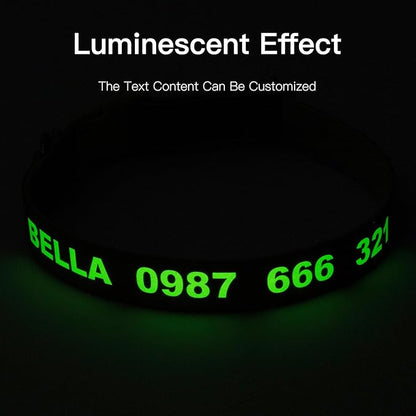 DOG WORLD Custom Fluorescent Dog Collar - Image 3