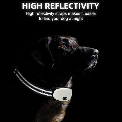 Collar Replacement Strap, Reflective Replacement Nylon Collar Strap Dog GPS - Image 2