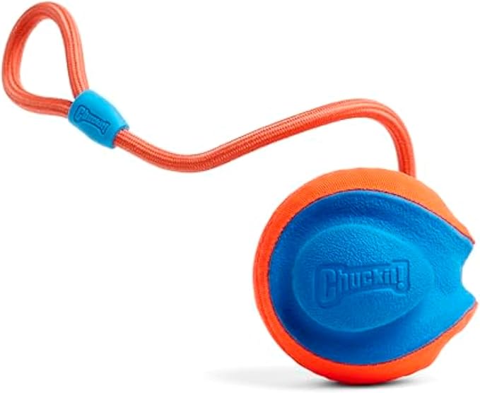 Chuckit! Rope Fetch Dog Toy by Chuckit