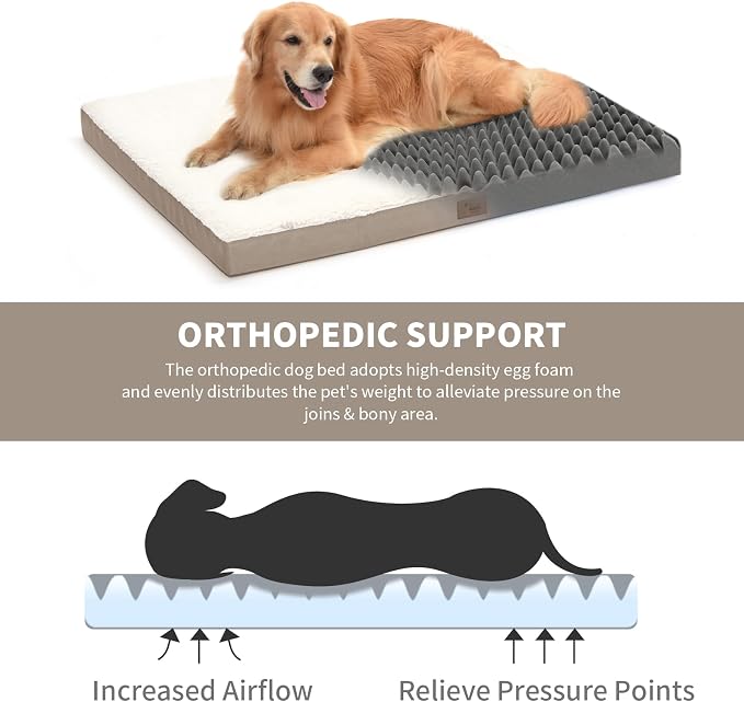 Plush Orthopedic Dog Bed for Medium Dogs & Puppies, Waterproof Dog Beds 30x20 - Image 2