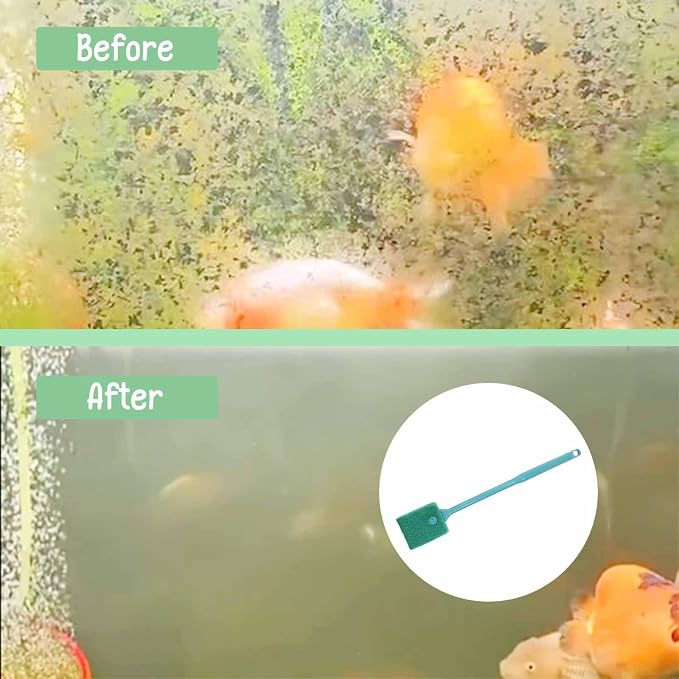 2 PCS Fish Tank Cleaner, Fish Tank Brush - Image 5