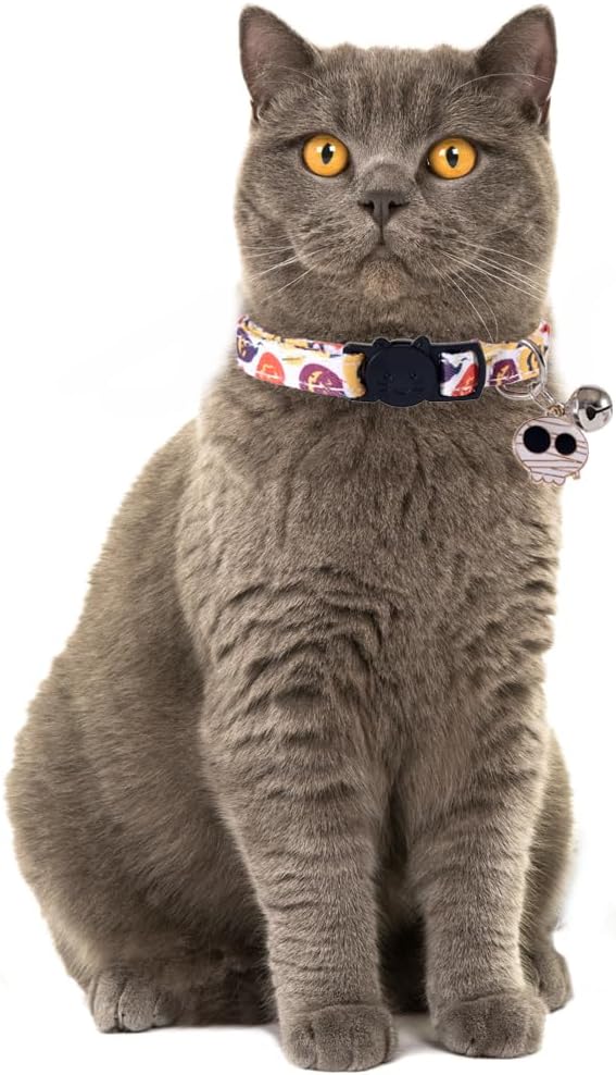 3 Pack Halloween Cat Collar - Image 5