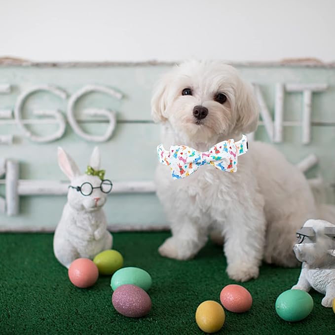 Lionheart glory Easter Dog Collar - Image 5