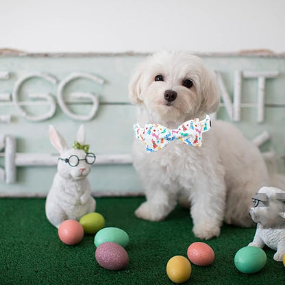 Lionheart glory Easter Dog Collar - Image 5