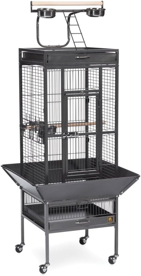 Prevue Pet Products Wrought Iron Select Bird Cage Black Hammertone 3151BLK by PrevuePetProducts