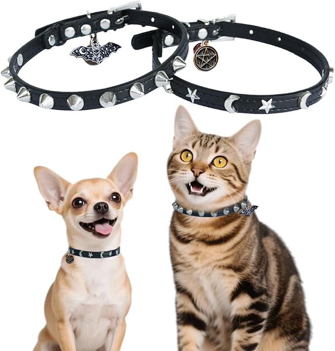 2 Pack Leather Cat Collar Breakaway by Bebudmedy
