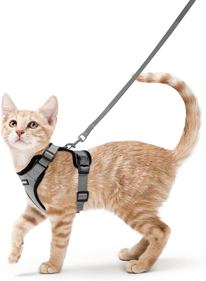 rabbitgoo Cat Harness and Leash by rabbitgoo