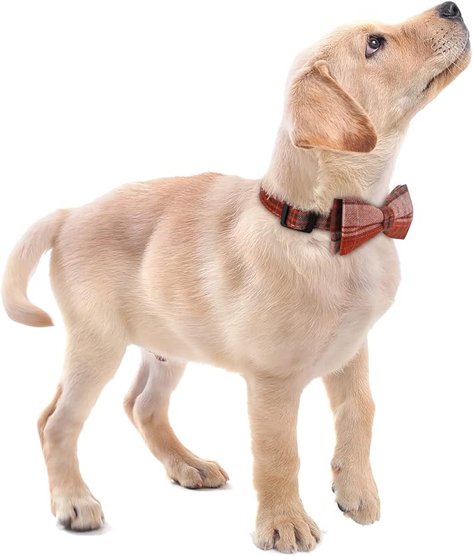 Faleela Soft &Comfy Bowtie Dog Collar, Detachable and Adjustable Bow Tie Collar - Image 5
