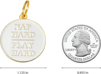 Two Tails Pet Company Personalized 'Nap Hard, Play Hard' Pet ID Tag & Collar - Image 2