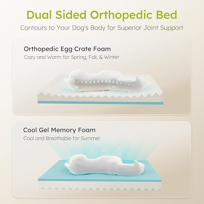 Extra Large Dog Bed, Orthopedic Dog Beds - Image 2