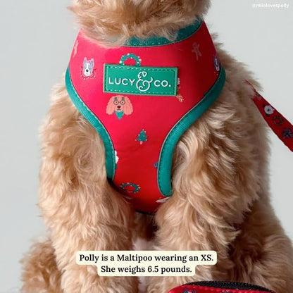 Lucy & Co. Cute Reversible Dog Harness Walking Halter - Image 3