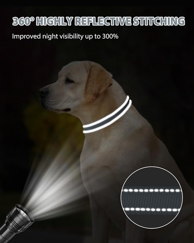 Joytale Reflective Dog Collar, Adjustable Nylon Pet Collar - Image 5