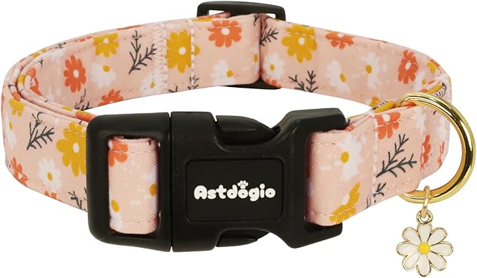 Dog Collar for Extra Small Dogs, Spring &Summer Theme Orange Small Dog Collars by Unknown