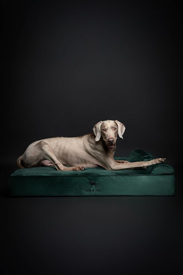 NOAH & PAW XL Dog Bed, Orthopedic Large Dog Beds, Eggshell Memory Foam Infused - Image 6