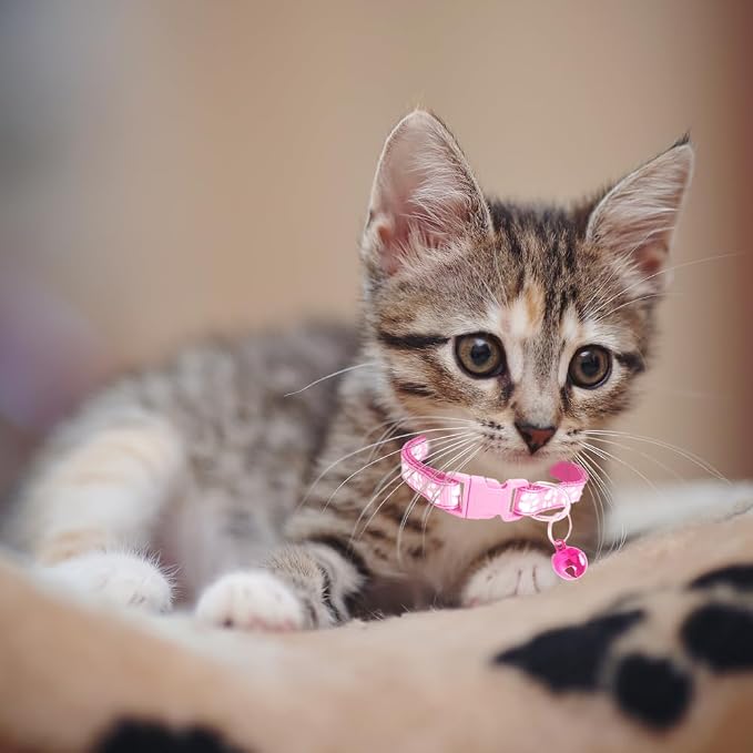MJIYA Cat Collar with Bell, Breakaway Grid Collar with Plastic Buckle, Light - Image 5