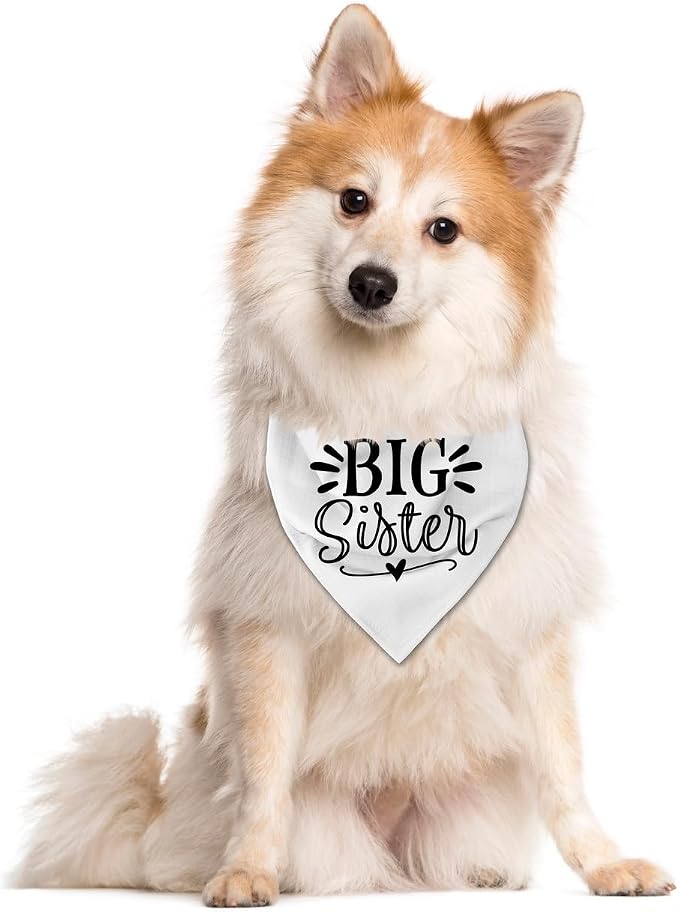 Big Sister Dog Bandana, Pet Triangle Scarf, Pet Bandana - Image 3