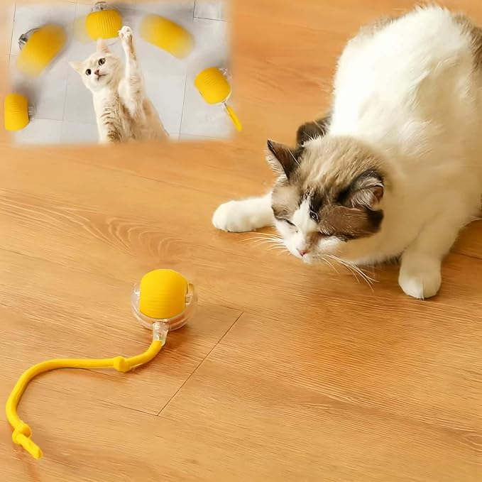 Interactive Cat Toys for Indoor Cats, Agility Move Cat Balls, Motion Activated by Goodqualityforyou