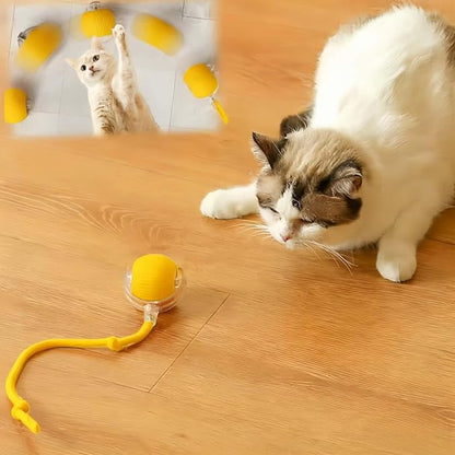 Interactive Cat Toys for Indoor Cats, Agility Move Cat Balls, Motion Activated by Goodqualityforyou