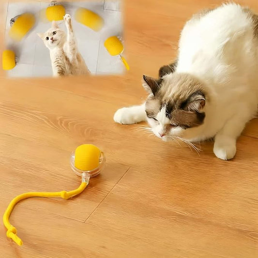 Interactive Cat Toys for Indoor Cats, Agility Move Cat Balls, Motion Activated by Goodqualityforyou