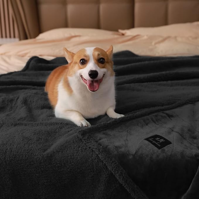 Luciphia Waterproof Pet Blanket, Liquid Pee Proof Dog Blanket - Image 2
