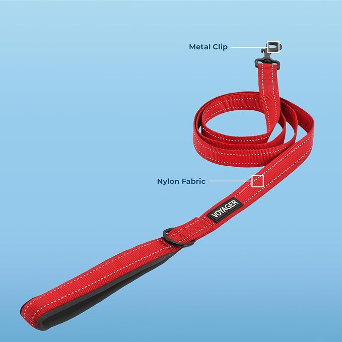 Best Pet Supplies Voyager Reflective Dog Leash or Collar - Image 2
